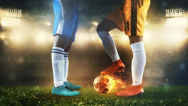 用户在手机上使用满冠体育APP